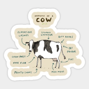 Anatomy of a Cow Sticker